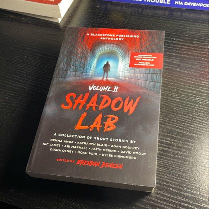 Shadow Lab Volume ii by , Paperback | Pangobooks