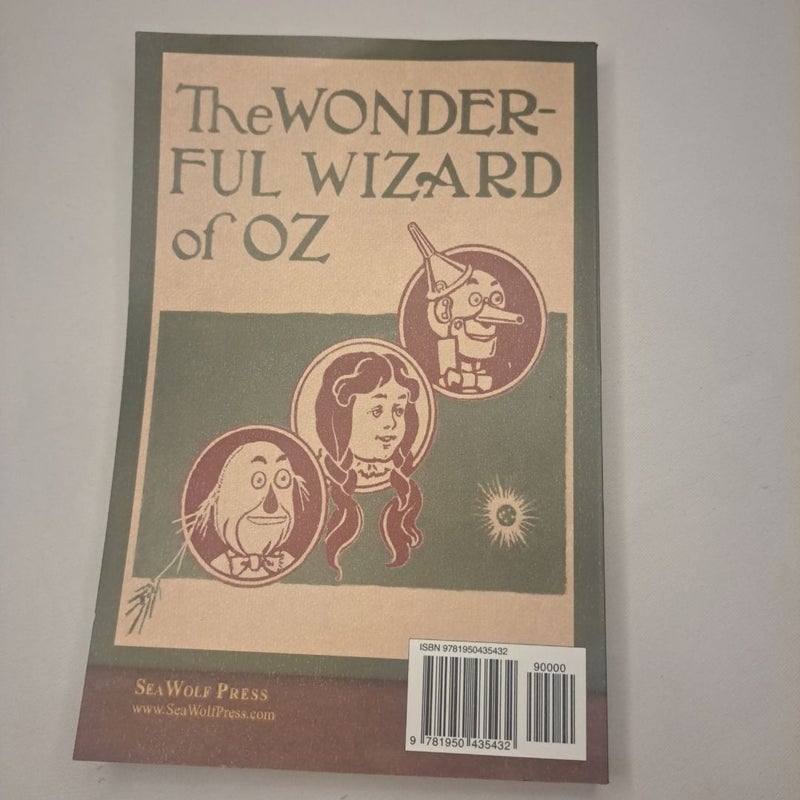 The wonderful wizard of ozz 