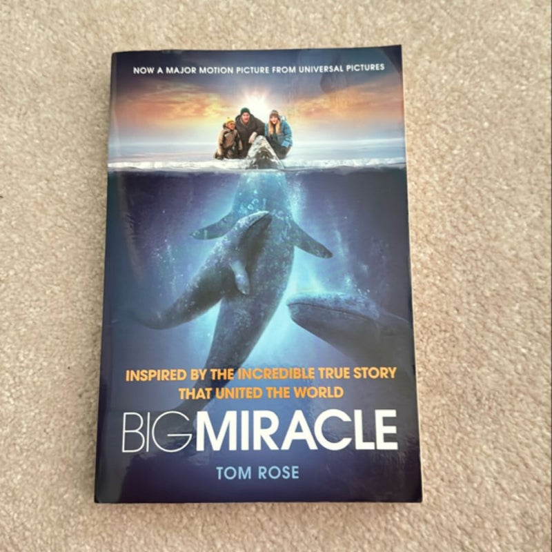 Big Miracle