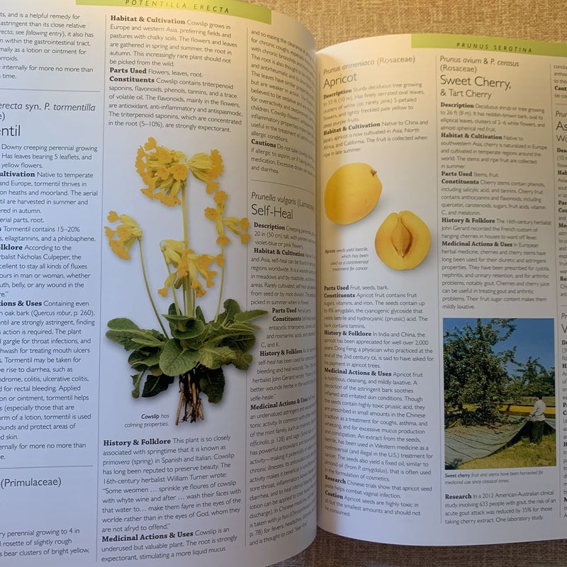 Encyclopedia of Herbal Medicine