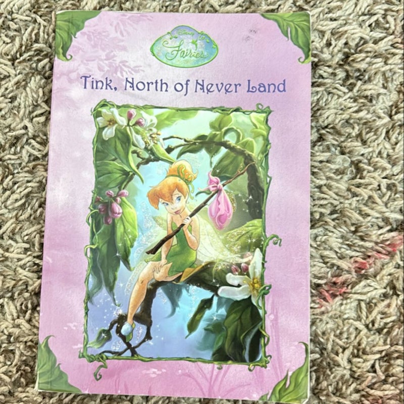 Tink, North of Never Land