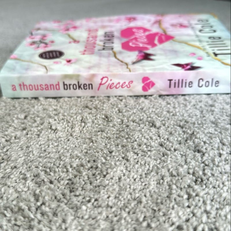 A Thousand Broken Pieces