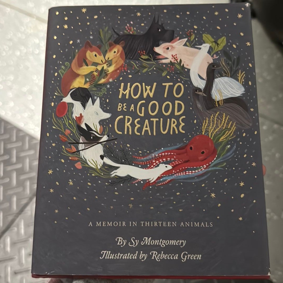 Sale image for 0975d158-d1cf-4966-af36-3bf9ff43fc40-hLlTSH8VQFPuEaf6ibsyl5vMBHz2