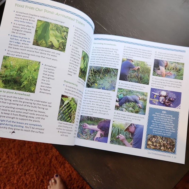 How to Build a Backyard Wildlife Pond