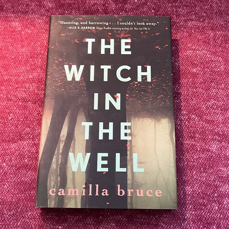 The Witch in the Well