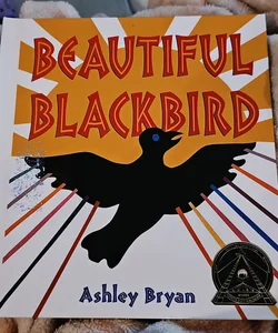 Beautiful Blackbird *