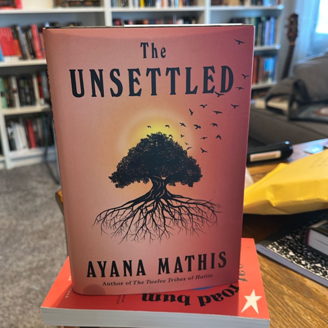 The Unsettled
