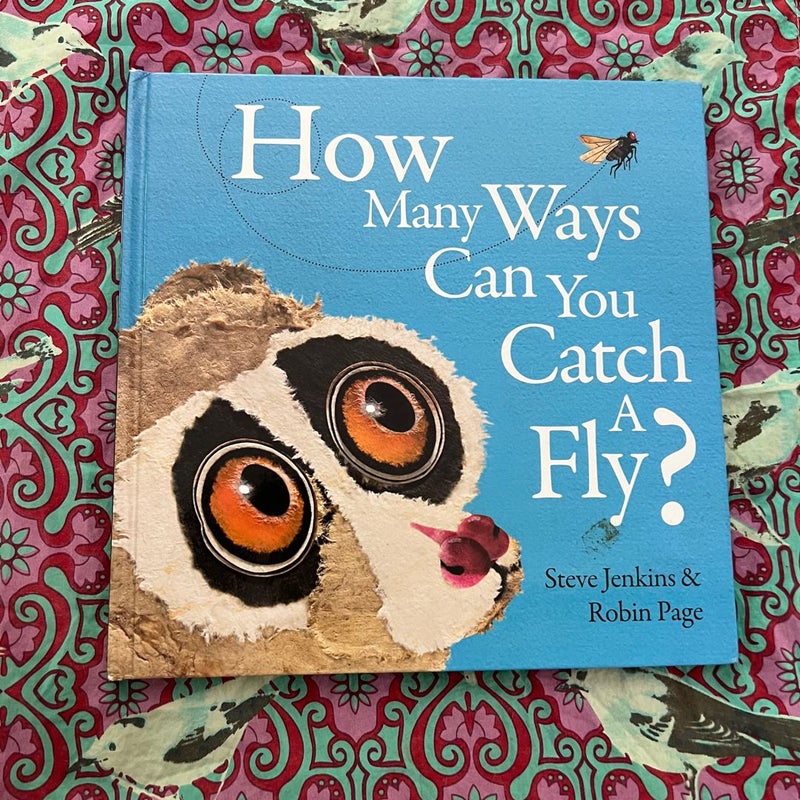 How Many Ways Can You Catch a Fly?