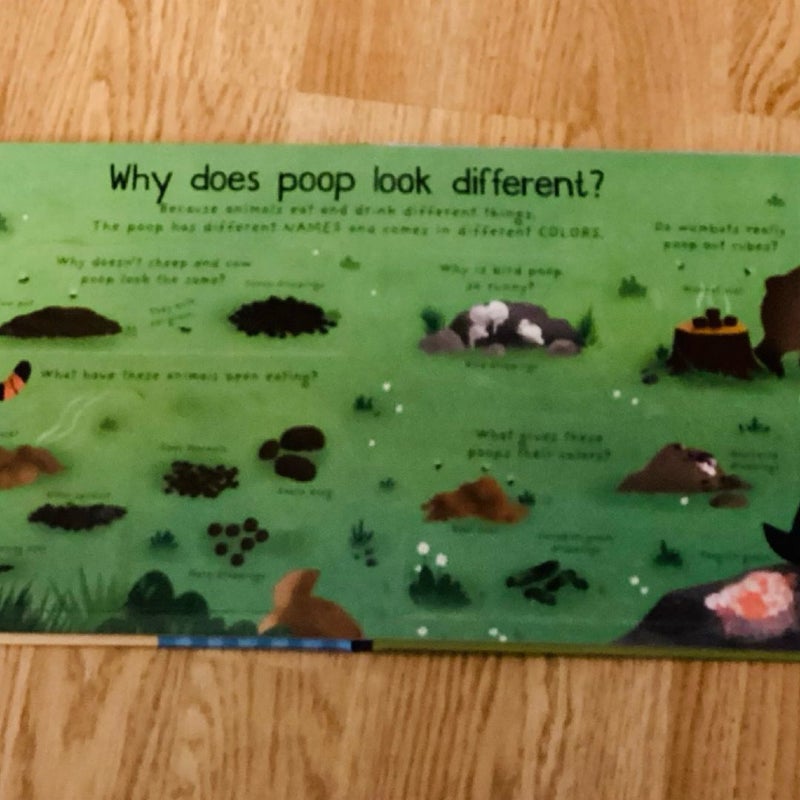 Where does Poop go?