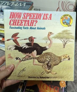 How Speedy Is Cheetah?