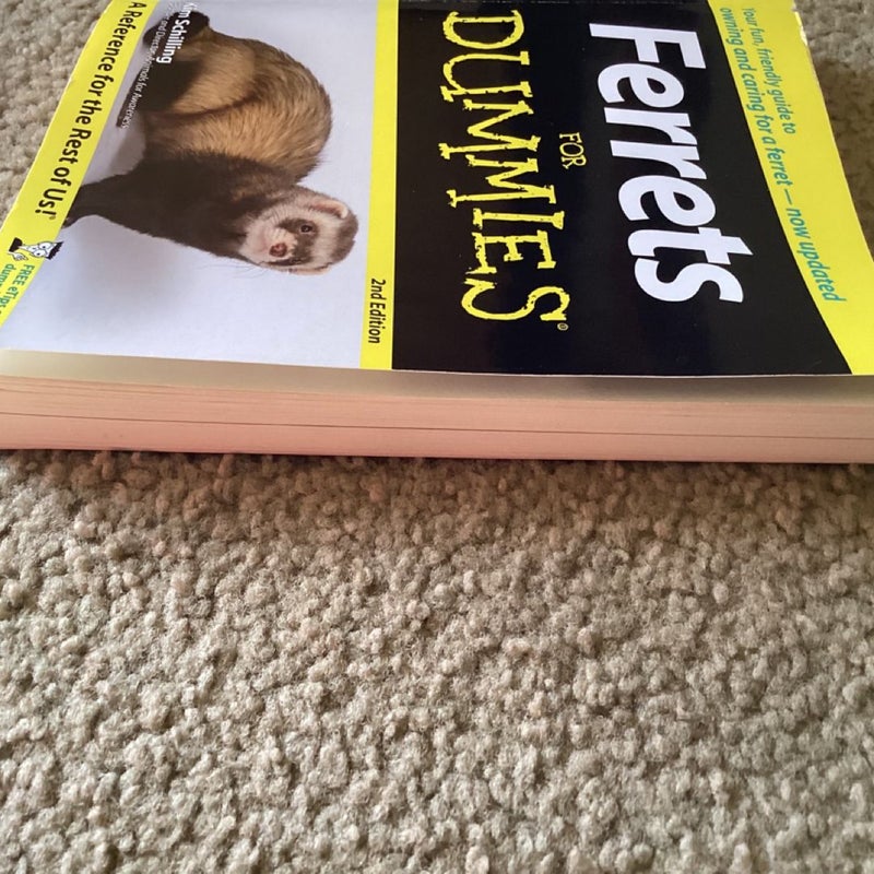 Ferrets for Dummies