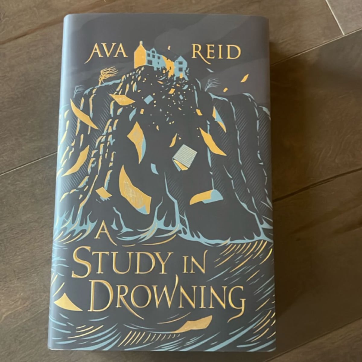 A Study in Drowning by Ava Reid, Hardcover | Pangobooks
