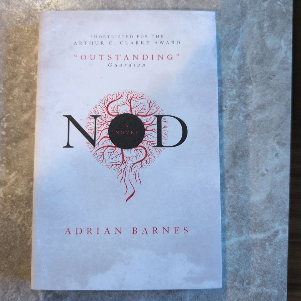 Nod by Adrian Barnes
