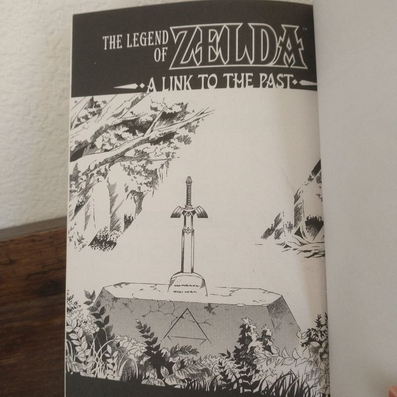 The Legend of Zelda, Vol. 9