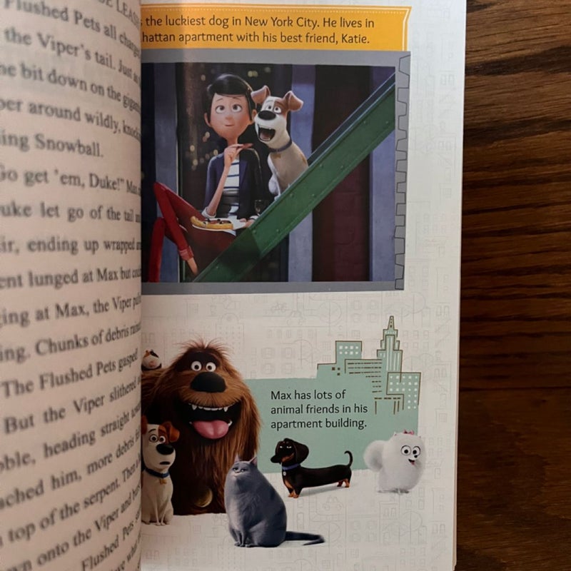 The Secret Life of Pets: the Junior Novelization