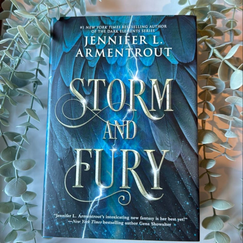 Storm and Fury