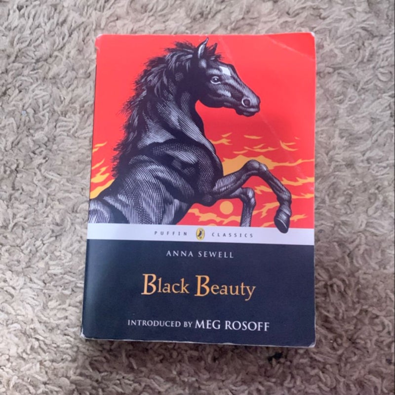 Black Beauty