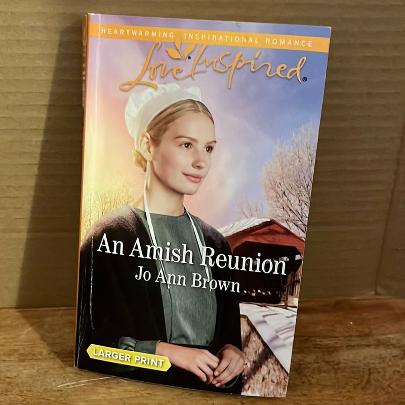 An AmishReunion