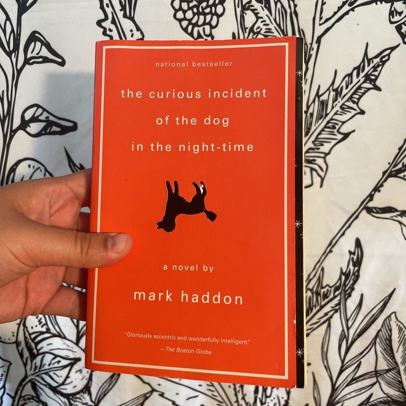 The Curious Incident of the Dog in the Night-Time