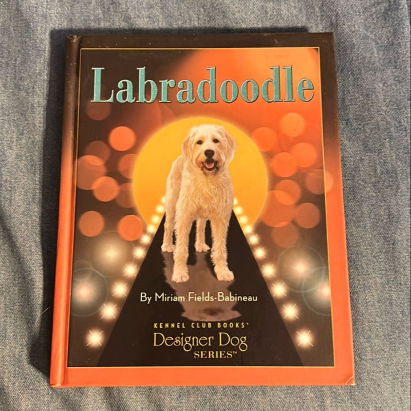 Labradoodle 