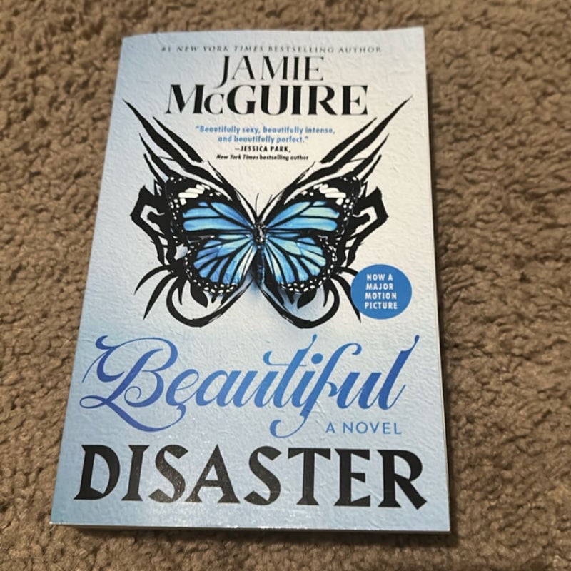 Beautiful Disaster
