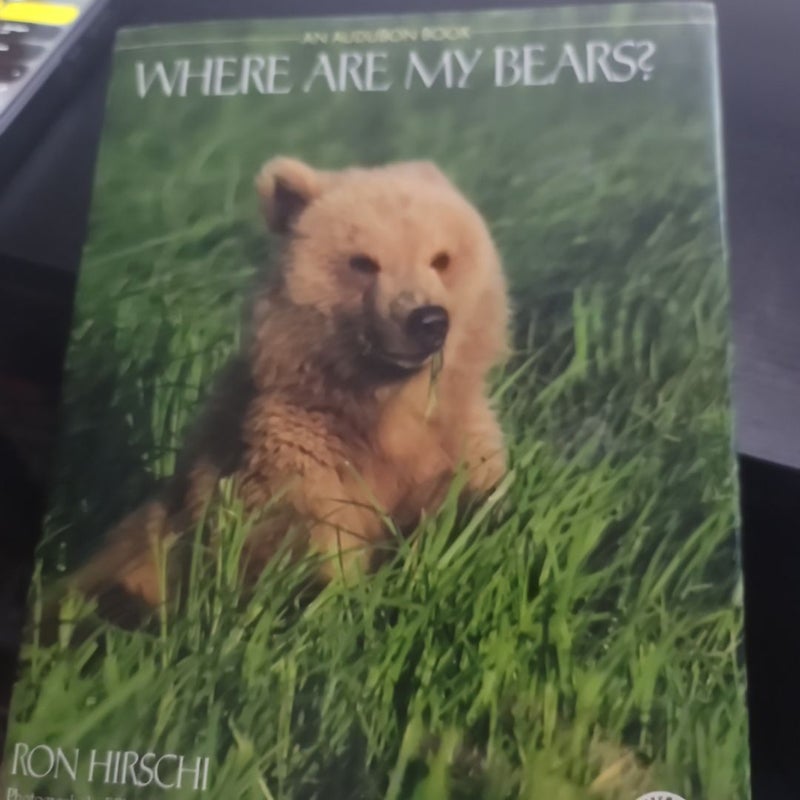 Where Are My Bears?