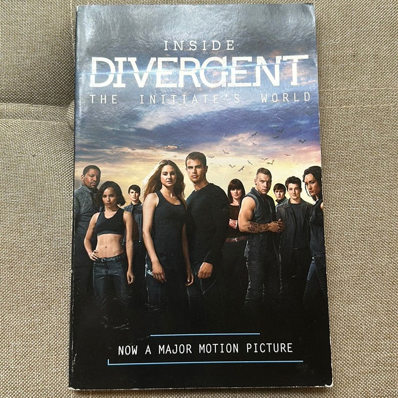 Inside Divergent: the Initiate's World