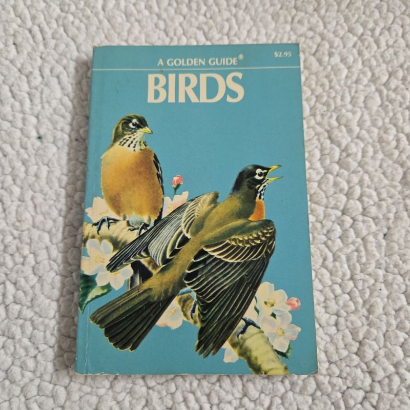 Birds