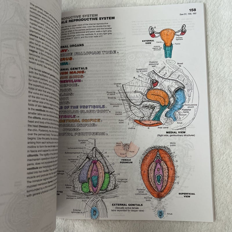 The Anatomy Coloring Book