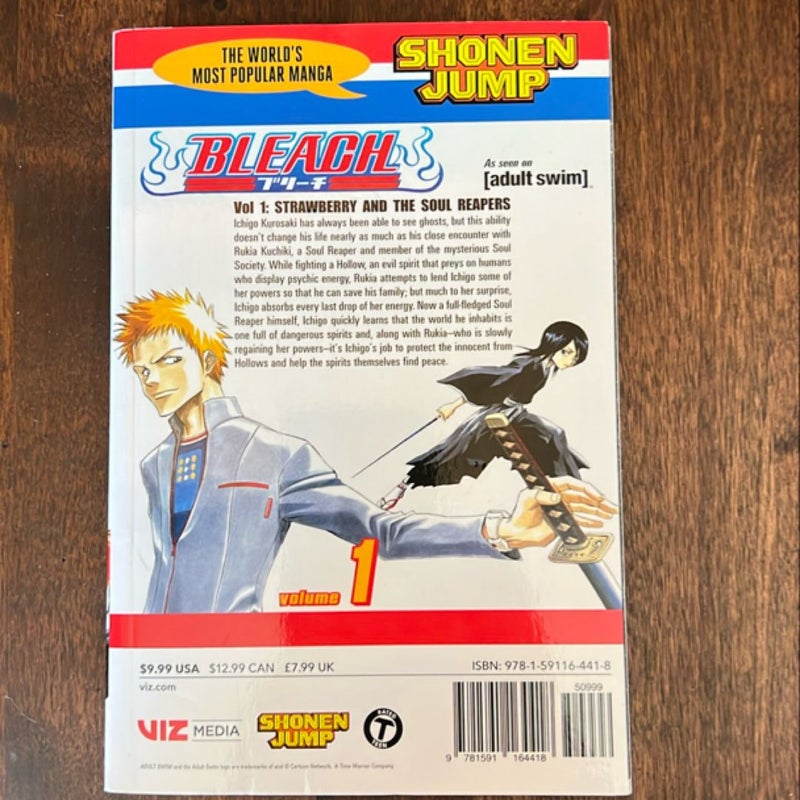 Bleach, Vol. 1