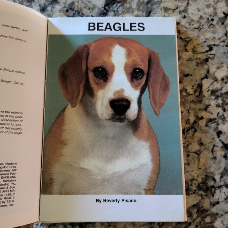 Beagles