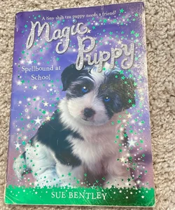 Magic Puppy