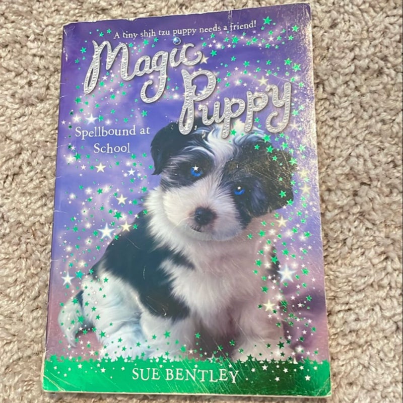 Magic Puppy