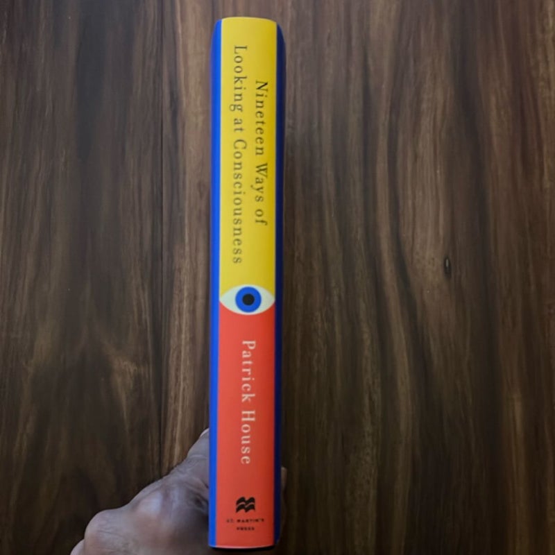 Nineteen Ways of Looking at Consciousness