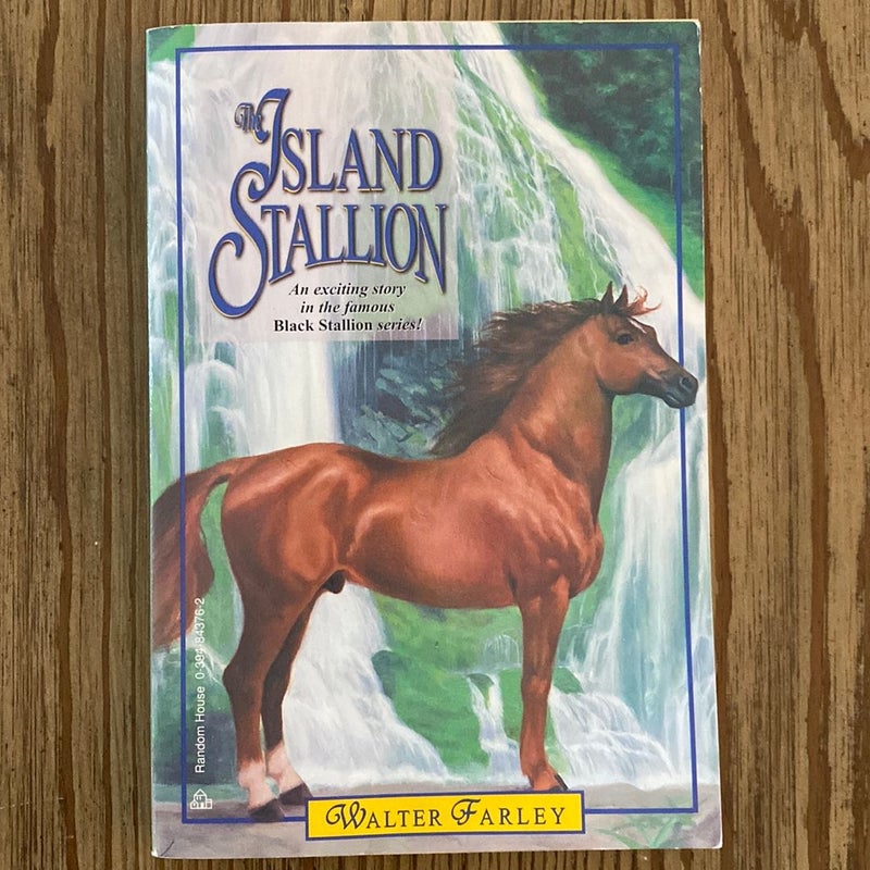 The Island Stallion