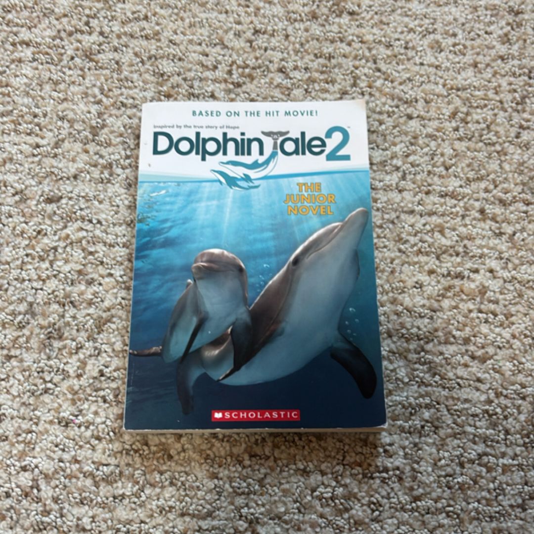 Dolphin Tale 2