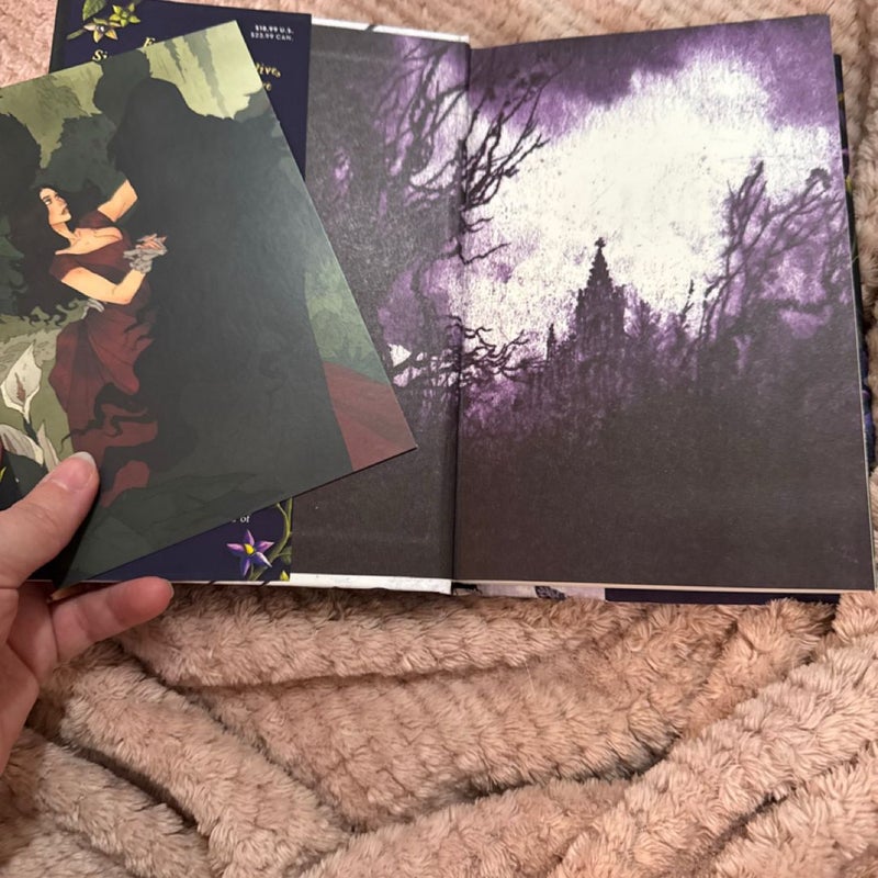 Belladonna