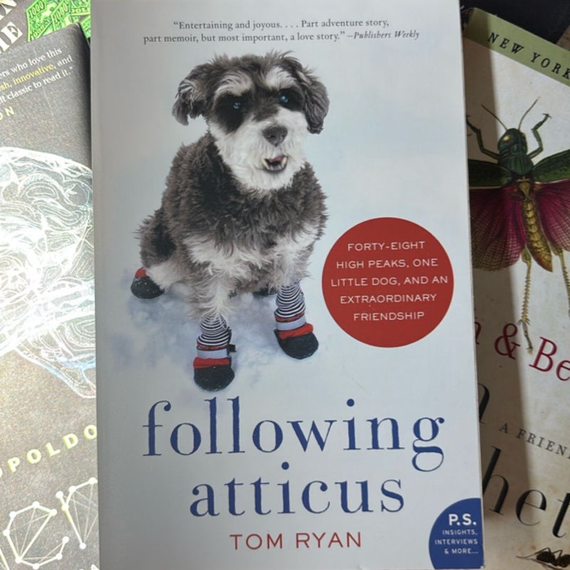 Following Atticus