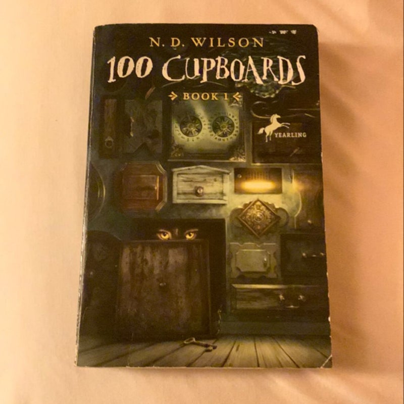 100 Cupboards (100 Cupboards Book 1)