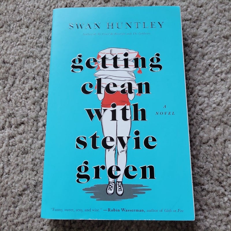 Getting Clean with Stevie Green