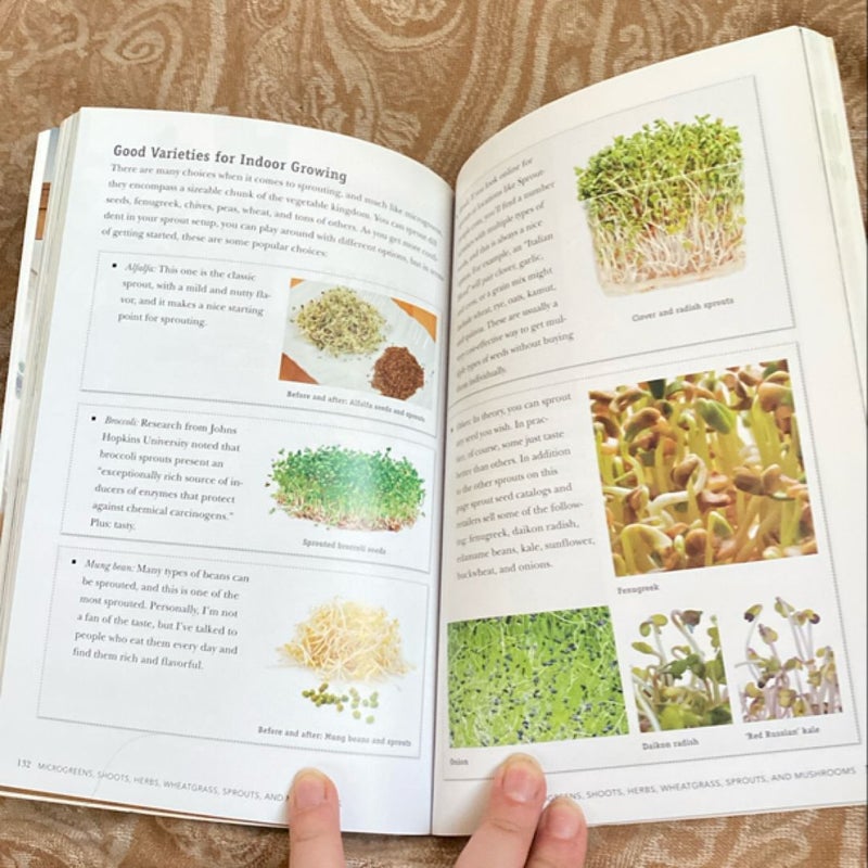 Indoor Kitchen Gardening Handbook