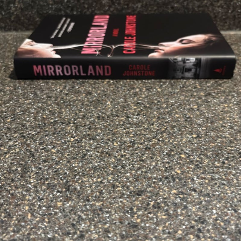 Mirrorland