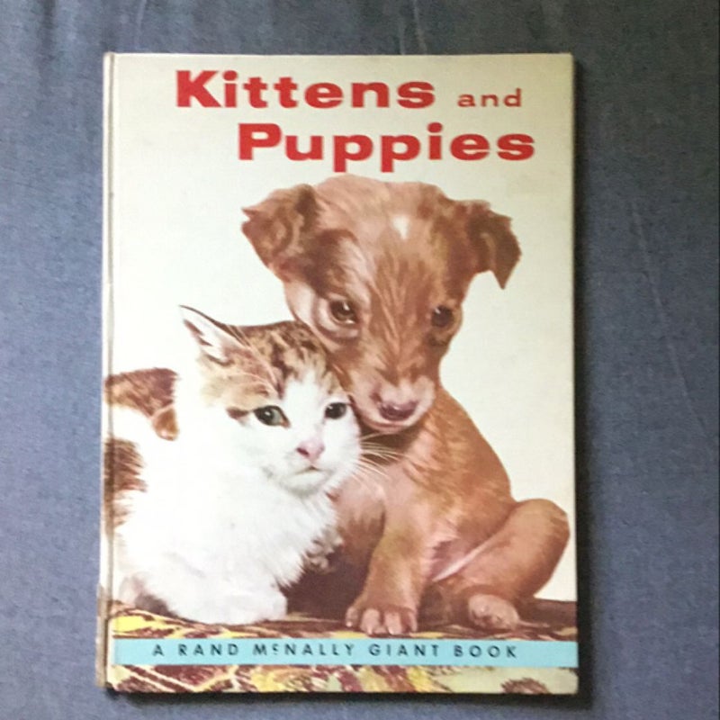 Kittens and Puppies 