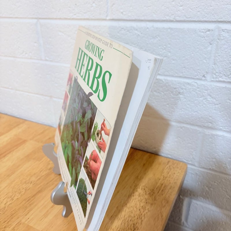 A Creative Step by Step Guide to Growing Herbs