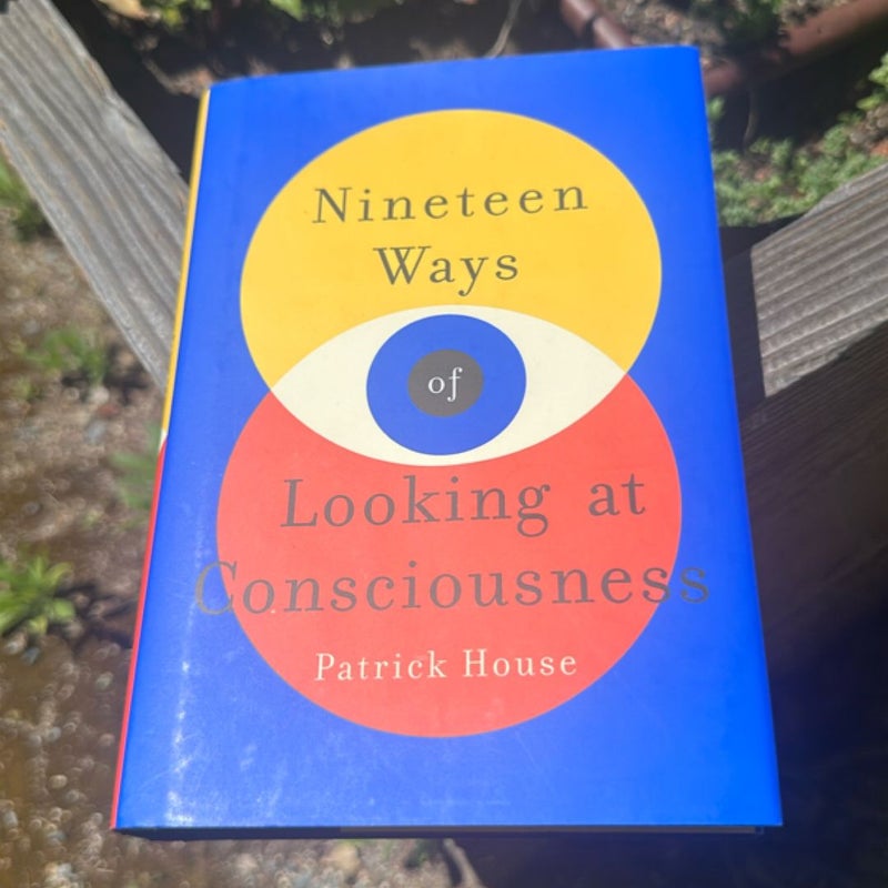 Nineteen Ways of Looking at Consciousness