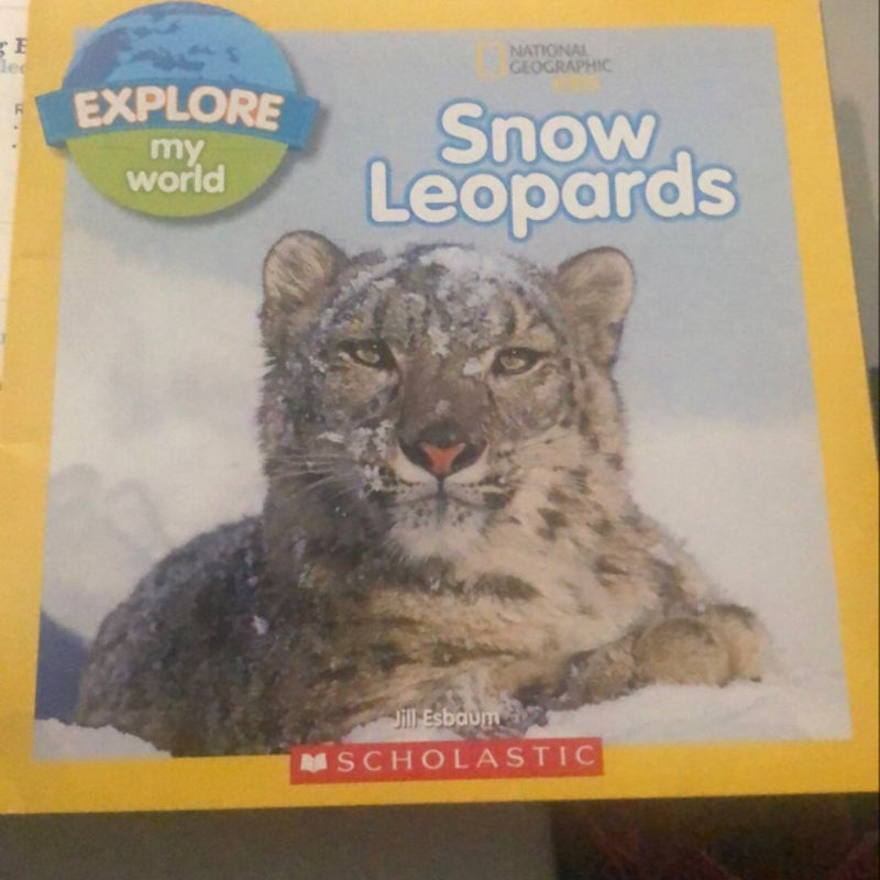 Snow leopards 