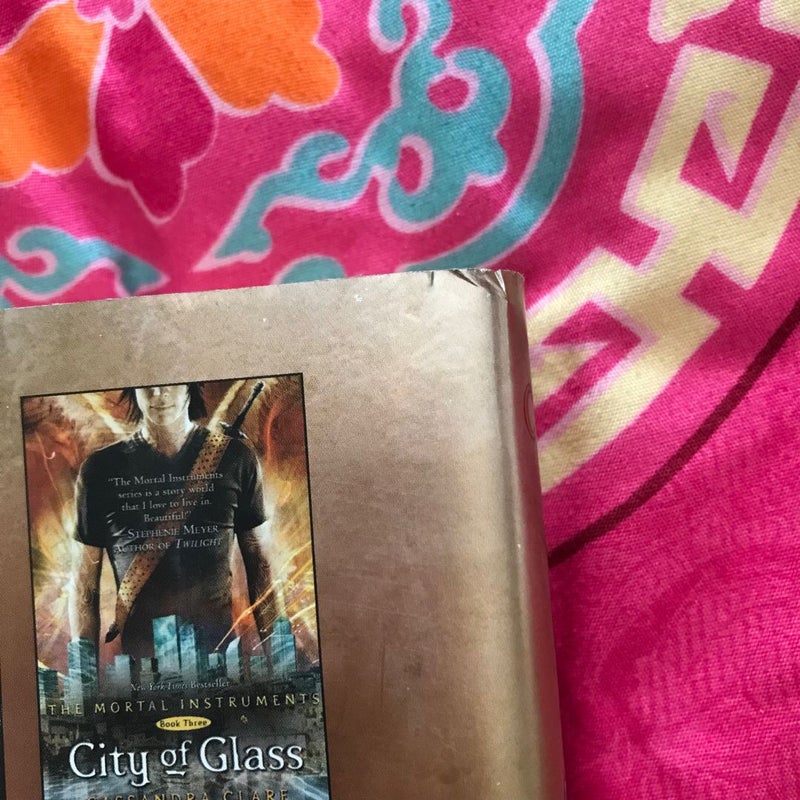 The Mortal Instruments 2-Book Collection (City of Glass & City of Fallen Angels)