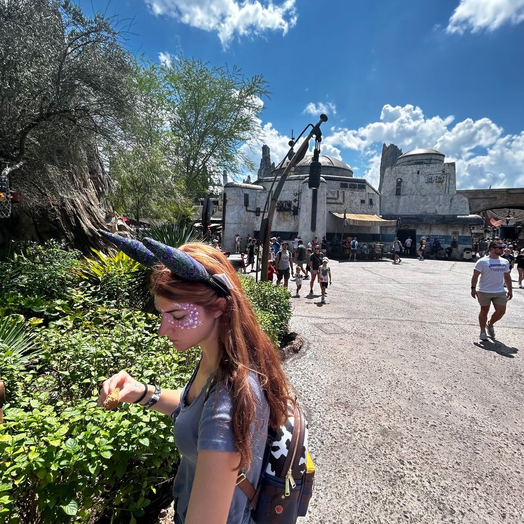 Dani
