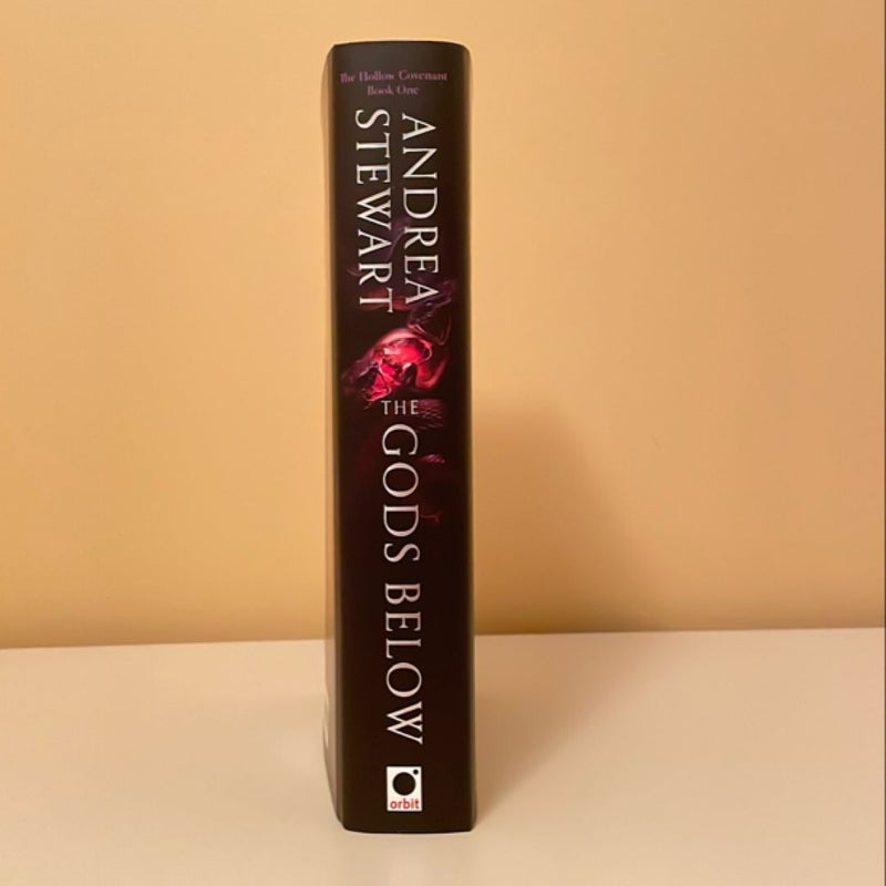 The Gods Below (FairyLoot Adult September 2024)
