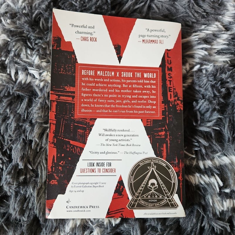 X: a Novel